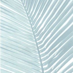 Meet your Posher, Jean